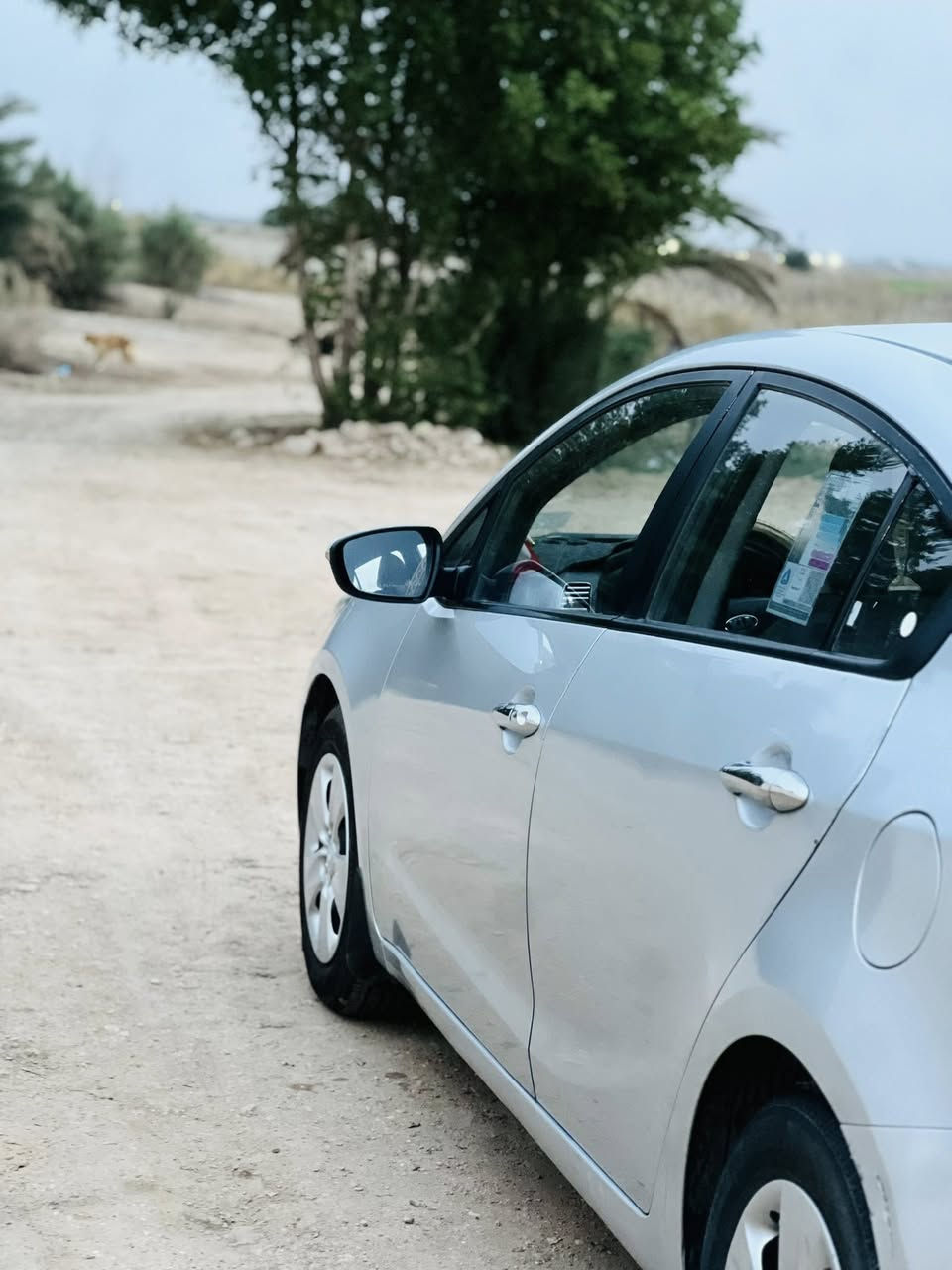 سلام عليكم  سياره سيراتو موديل 2017وارد خليجي  مكفوله كفاله عامه ماعدى  ضربه بل باب لخلفي مرجعه عل بارد ولباقي كفاله مواصفات معروفه بلاجكتور +اشاير بل مري+مانع انزلاق   ماشيه 116 سنويه  لل2030 للستفسار اتصال ***********
