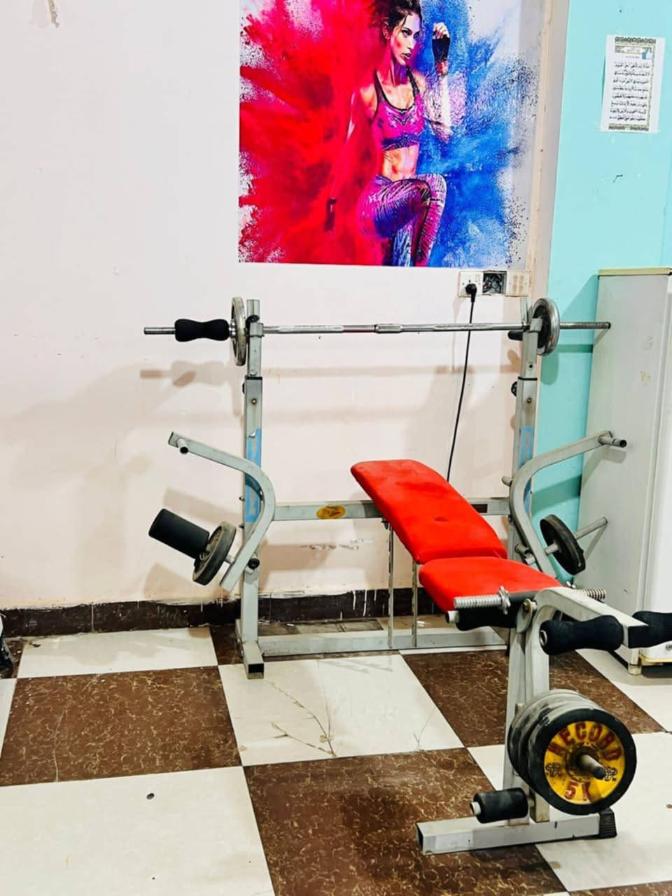 اجهزة رياضية للبيع الملتي جم سعر الجهاز 275 الف اجهزة الجري ماركة ام جي تي الأصلية سعر الجهاز ب500 ألف والجهاز الثالث العادي سعرة 250 ألف مسطبة بنج بريس سعر 100 ألف بايسكل ب100 ألف اوبتكل ب150 ألف مساطب اسفل سعر الوحدة ب40 ألف جهاز لف جذع ب100 ألف عنوان كربلاء للشراي الاتصال على الرقم *********** للشراي مراسلة الرقم غير متواجد بلفيس
