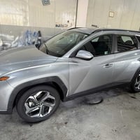 توسان • ٢٠٢٤ • بدون لوحات