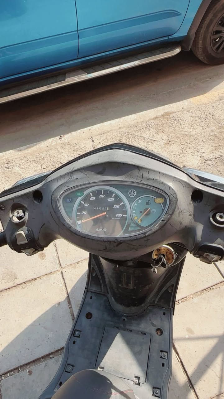 للبيع ببغاء دراجة بلاديه ممفتوحة ومابيهة كل نقص ومكفوله ***********زعفرانية
