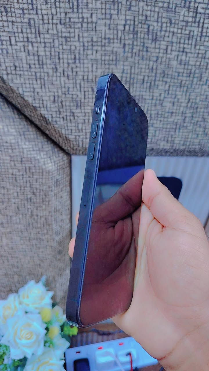 14 برو ماكس.. ذاكرة 256.. بطارية 86%

شرق أوسط.. مكفول بلادي مامفتوح.فقط فطر بالظهر


**إذا كنت صاحب هذا الإعلان وتريد حذفه لأي سبب، رجاءا أرسل رسالة إلى الدعم الفني**