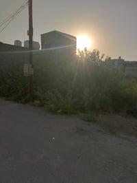 تقاطع القدس • ٢٥٠م • سند ٢٥ قرار