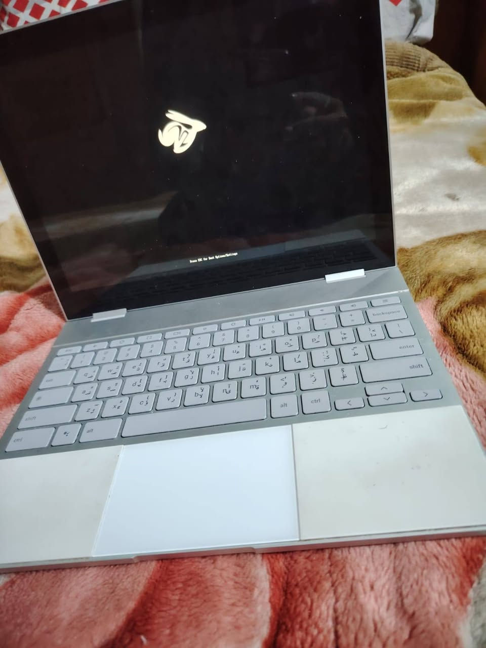 للبيع Google Pixelbook 360 Touch
🔹 المعالج: Intel Core i7
🔹 الرام: 16GB
🔹 التخزين: SSD 512GB
🔹 شاشة لمس وقلاب 360°
🔹 نظام Windows 10 مثبت وجاهز
🔹 بطارية جيدة وأداء سريع
ملاحظة: بعد تنصيب الويندوز يحتاج فقط تعريف اللمس والصوت حتى يشتغلن بشكل كامل، وباقي الجهاز يعمل بصورة طبيعية.
💰 السعر: 400,000 الف قابل للتفاوض بالمعقول. او مراوس ايباد 
***********
