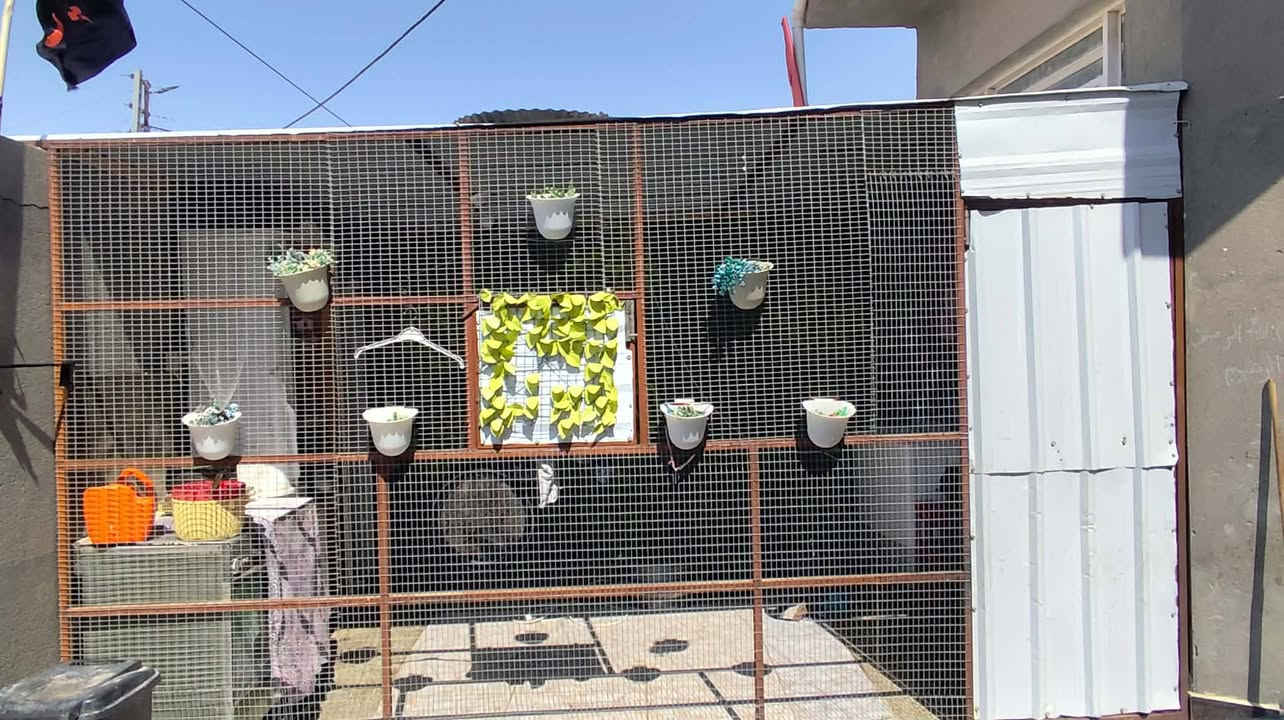 واجهه مشبك الطول ٣ أمتار وعرض ٤ ونص مسقف كامل جينكو جديده تونه مسوينها الي يريدها يتصل على رقم *********** للعلم جانت محميه
