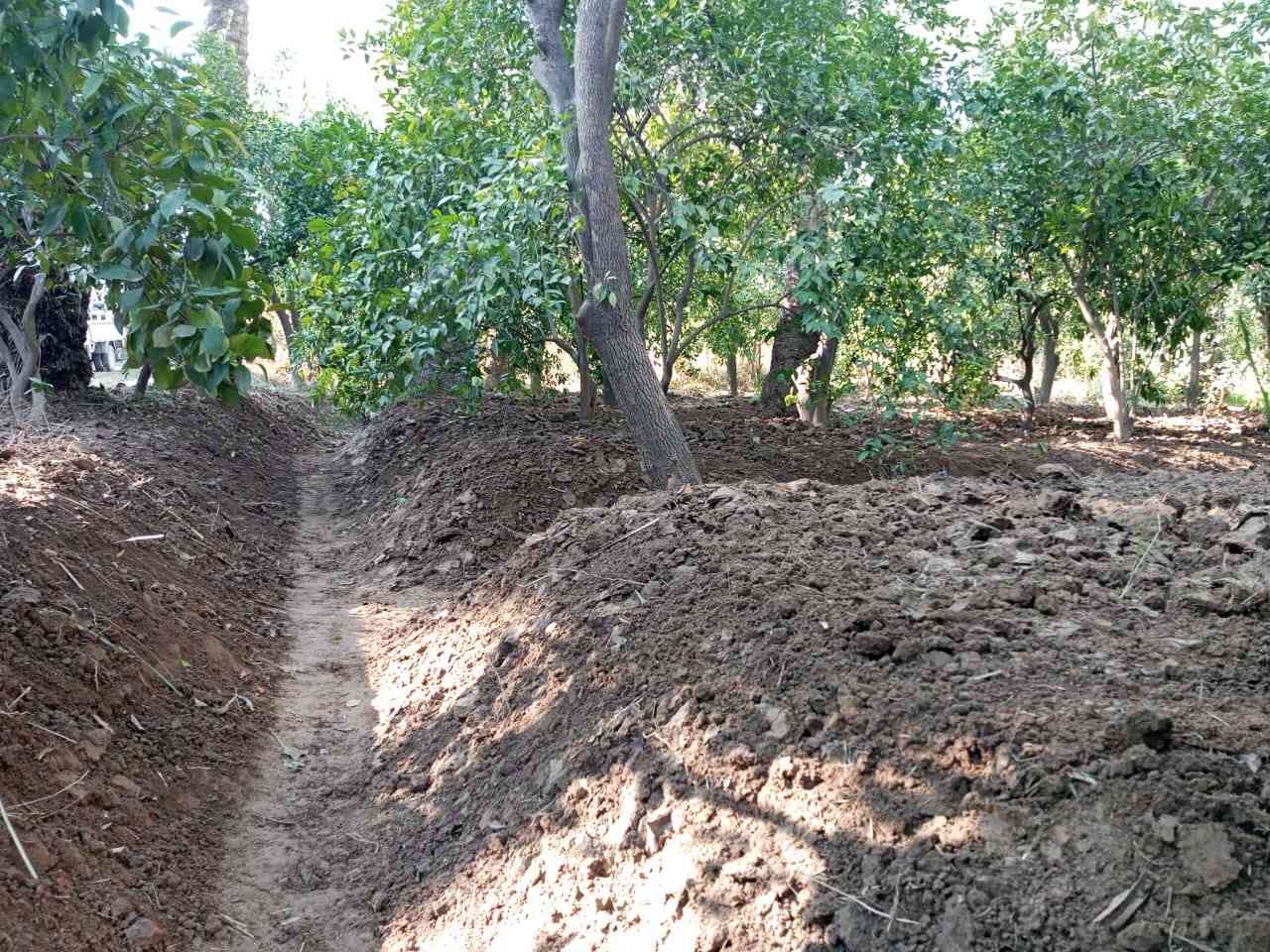 شعندك شغل كسار كطال تكويب
درچ دفان تراب اتصل عل الرقم
***********
***********
