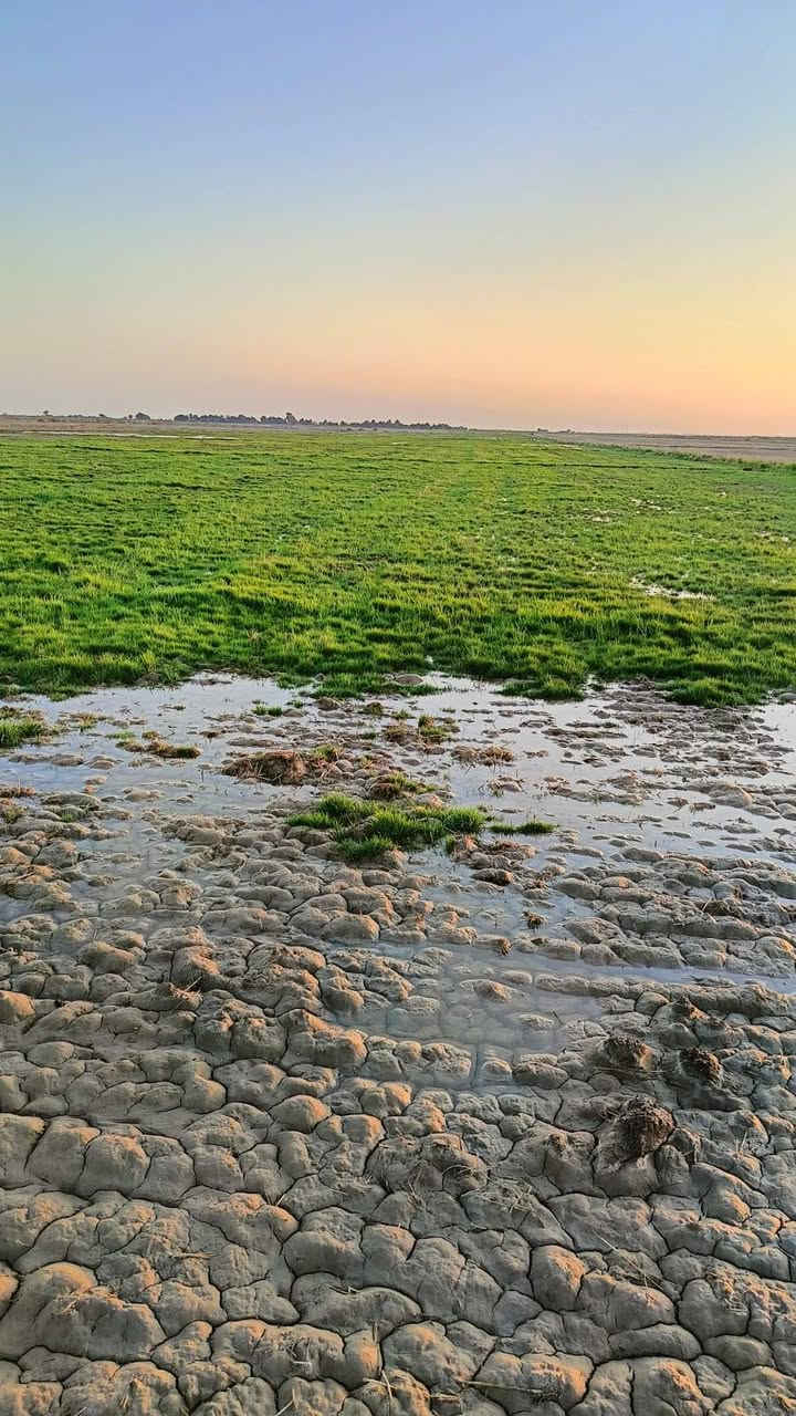 ا
ارض زراعيه 22 دونم مكتوله للحلال .للبيع .في ضواحي الفجر .اتصال عالرقم ***********
