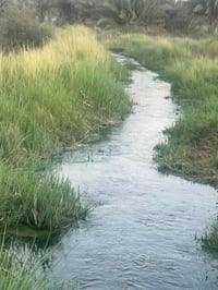 مساحات مختلفة واجواء ريفية نقية وهادئة   بعيداً عن ضجيج المدينة طابو ز...