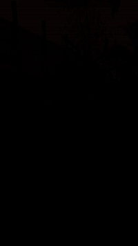 سلام عليكم بايسكل لبيع لسعر ب160نضيف شخط ما بي سياحي باله مكاني لبصره ابو لخ***********
