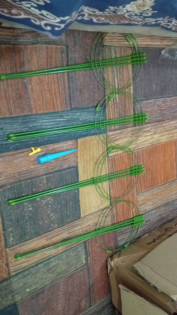 هذه أعواد خضراء تستخدم لدعم النباتات المتسلقة أو لتنسيق الزهور الصناعية يدوياً 🌿☘️🌱

مثل مواضحات بصوره طيني سعر وخذهم 

***********
