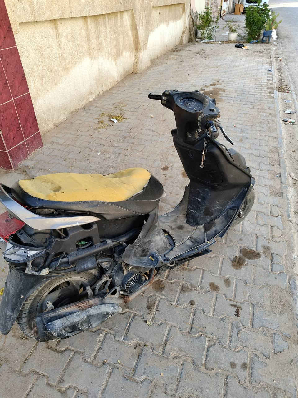 السلام عليكم فراشه فحل البيع
صالي شهرين من جفتتها ابيعك سويج 
سعرها 175 بيها مجال قليل حك جيه 
رقمي 
***********
