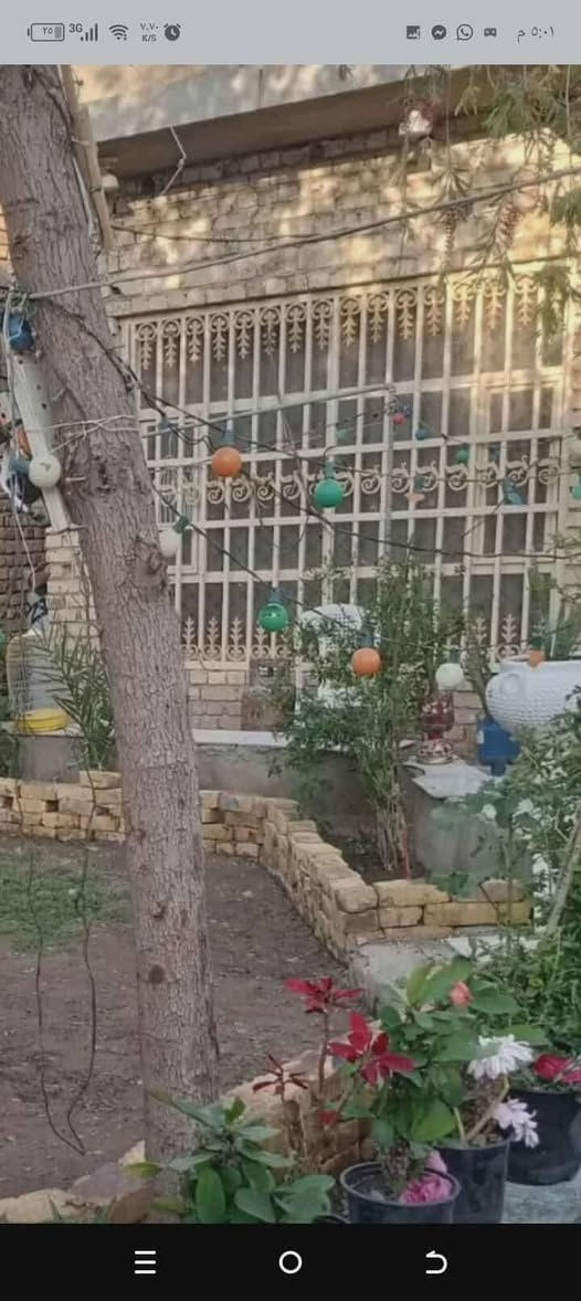 السلام عليكم بيت للبيع زراعي سند 25 حي الفرات قرب جامع الامام المهدي يتكون من غرفتين نوم 4.5 استقبال 4.6صاله 9.4 مطبخ 5.4 غرفه نوم فوك 4.4صحيات طارمه حديقه البناء كونكريت مسلح ثاني بيت عن الشارع العام ..***********
