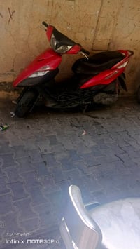 ماكس ثعلب نوزل مرقم بغداد للبيع  07812237567