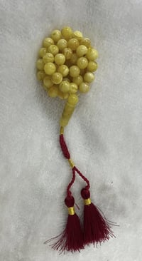 كهرب بولندي • شجري • ٣٥غ