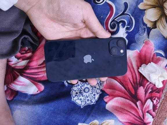 ١٣ عادي بعده بالضمان اخو الجديد كارتون و غراض كامله ٤٢٥ بيه مجال بسيط


**إذا كنت صاحب هذا الإعلان وتريد حذفه لأي سبب، رجاءا أرسل رسالة إلى الدعم الفني**