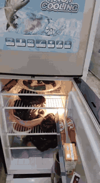 مكلف بل النشر اتصل او مراسلة واتساب ***********
ثلاجه   حجم وسط جديده استخدام قليل
