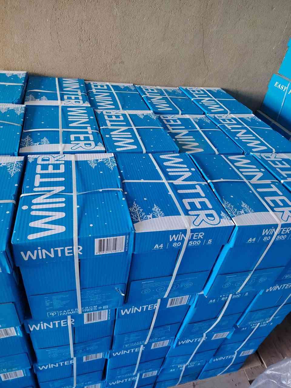 ورق  امنية ٨٠ غرام اماراتي ٢٢ الف

ورق  ونتر ٨٠ غرام تايلندي ٢٣ الف

ورق كولدن ٨٠غرام اندوسي ٢٤ الف

٥كارتون او اكثر توصيل مجاني

للطلب ماسنجر او وتسب ***********
