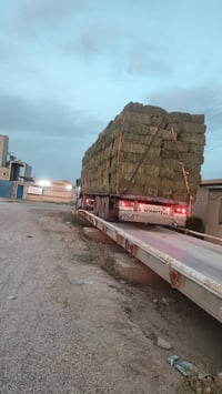 عمال تحميل • كبس تبن • الرمادي