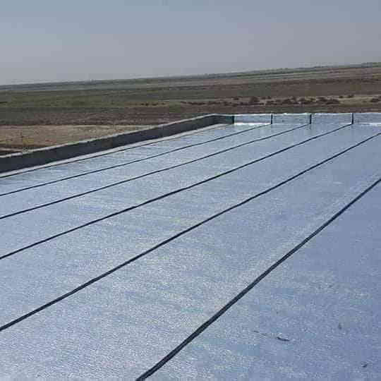 الاستفسار ***********
