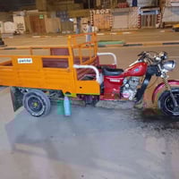 ستوته • بدون اوراق • مجال قليل