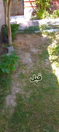 تغيير جذري خلال عشر دقايق ماده منشطه وبنفس الوقت صبغ للثيل تبقه 40 يوم...