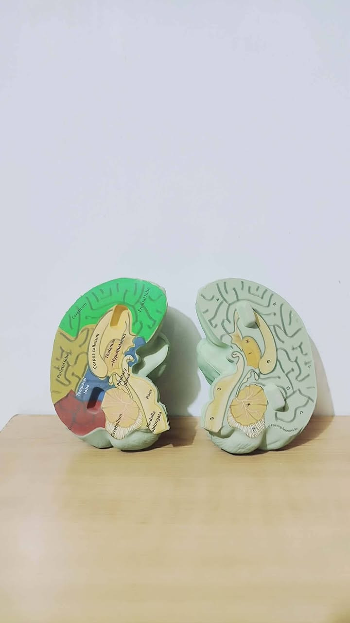 ✍ ͜℘ عـــــــآ لَـــــــــم لَـــــلَآ لـــــــعـــــــــآ بـــــــ♥ـ يـــــــر  حـــــــبـــــ بــــــــكــــــــم


**إذا كنت صاحب هذا الإعلان وتريد حذفه لأي سبب، رجاءا أرسل رسالة إلى الدعم الفني**