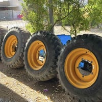تخم طاير وياله 25 بلادي للبيع 07707070802