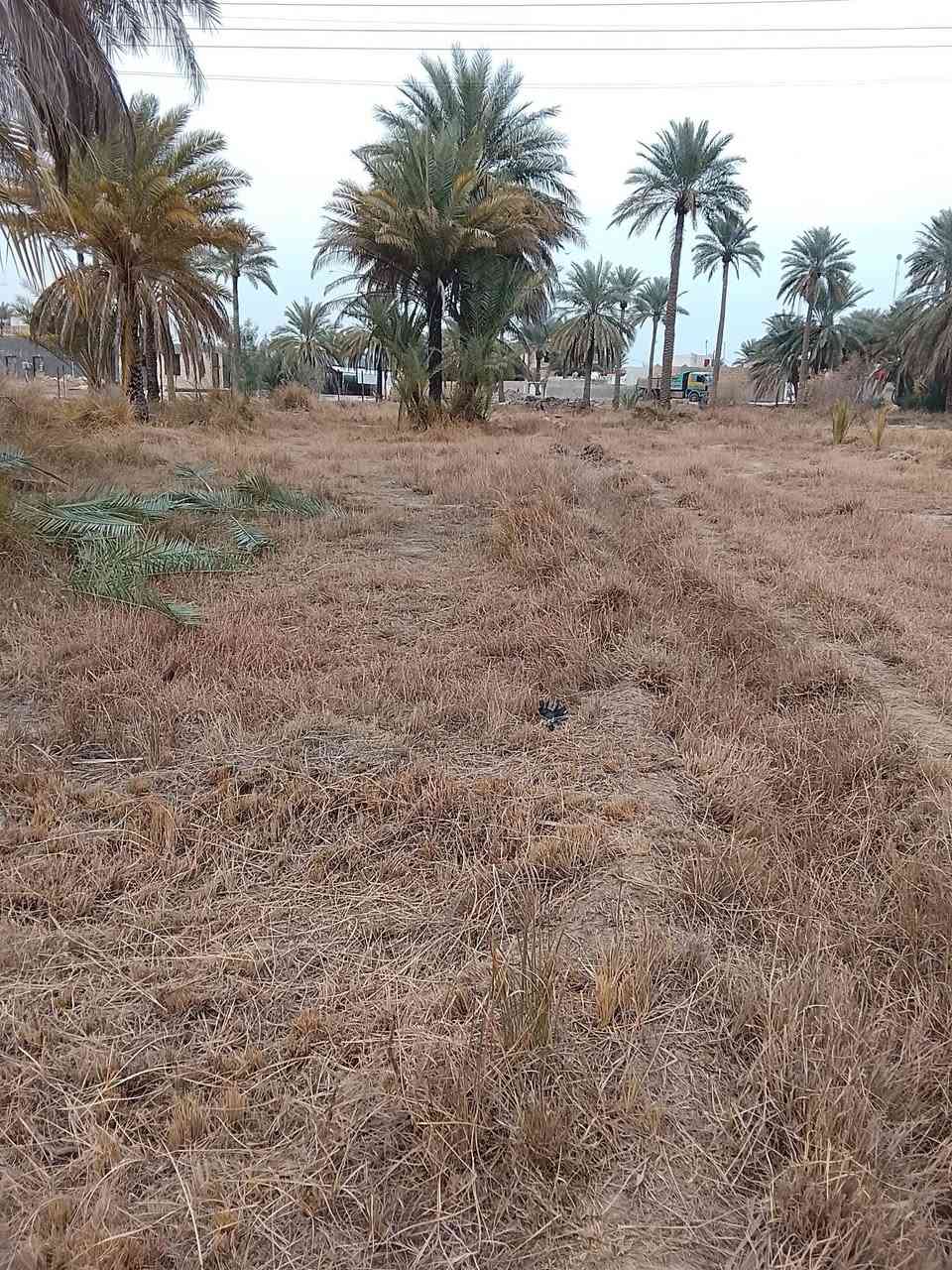 دونمين للبيع مع كافة الخدمات تبليط ماء كهرباء تحويل مباشر حله قرب سيطره الاثار سعر على الخاص


**إذا كنت صاحب هذا الإعلان وتريد حذفه لأي سبب، رجاءا أرسل رسالة إلى الدعم الفني**