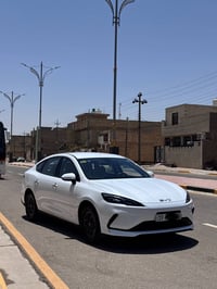 سيل ٥ • ١٣٠٠٠ كم • كربلاء