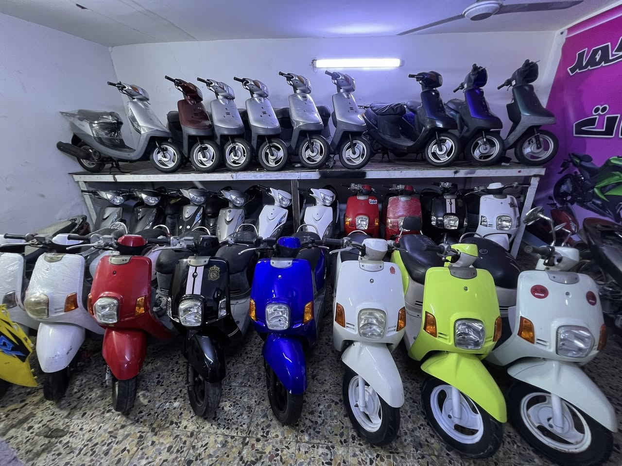 ماكس بوليسي كابريتر ٩٥٠⛔️
ماكس بوليسي شاشة صغيرة ٩٥٠⛔️
ماكس بوليسي مسطرة ١١٠٠⛔️
ماكس بوليس داخل كريمي ١٢٠٠⛔️
ماكس عدله مليون و٥٠⛔️
بطة موديل ٢٠٠٣ السعر٨٥٠⛔️
بطة موديل ٩٩ السعر٧٥٠⛔️
فلة السعر ١١٥٠⛔️
جبلة السعر ١٣٧٥⛔️
العنوان كربلاء
حي رمضان مقابيل مول الإبراهيمي 
معرض محمد
***********
***********
