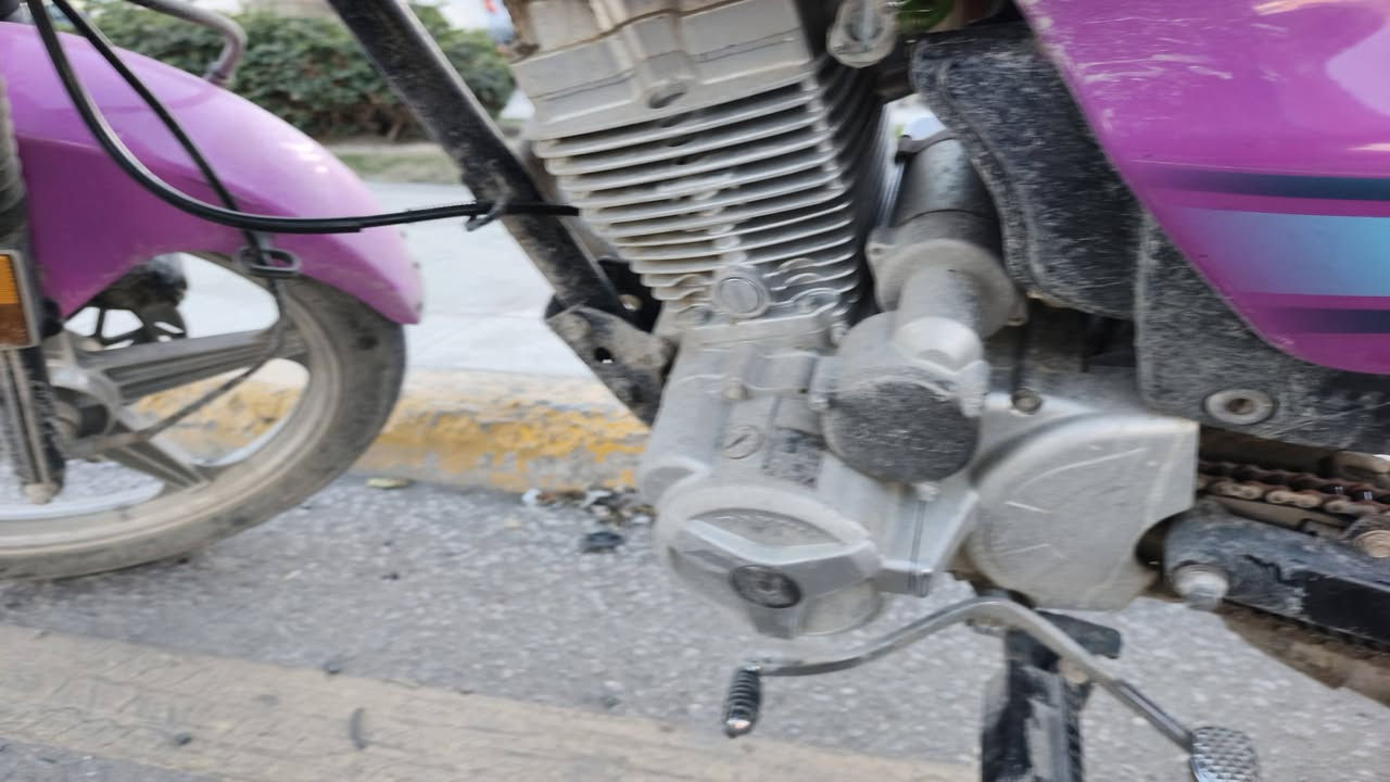 دايون عضم٢٠٢٣
رقم و سنوية كربلاء 
السعر ١٨٠٠ 
لون مميز 
*********** واتساب٠فقط
