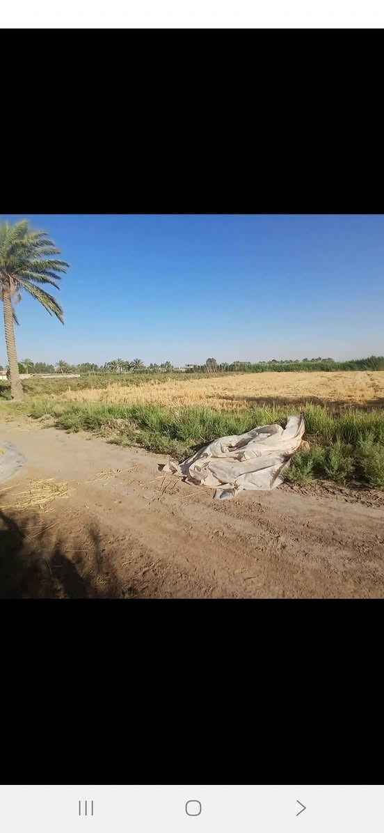 سلام عليكم ارظ زراعيه 7 دونم مع بيت قديم معه  تبعد عن السوق كلوين المكان قضاه جبله حي الفرات  ركن قرب الشارع  فرع المصلخ رقم الهاتف ***********.        رقم الهاتف  ***********

