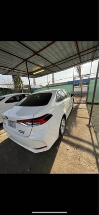 كورولا هايبريد • ٢٠٢٤ • اربيل