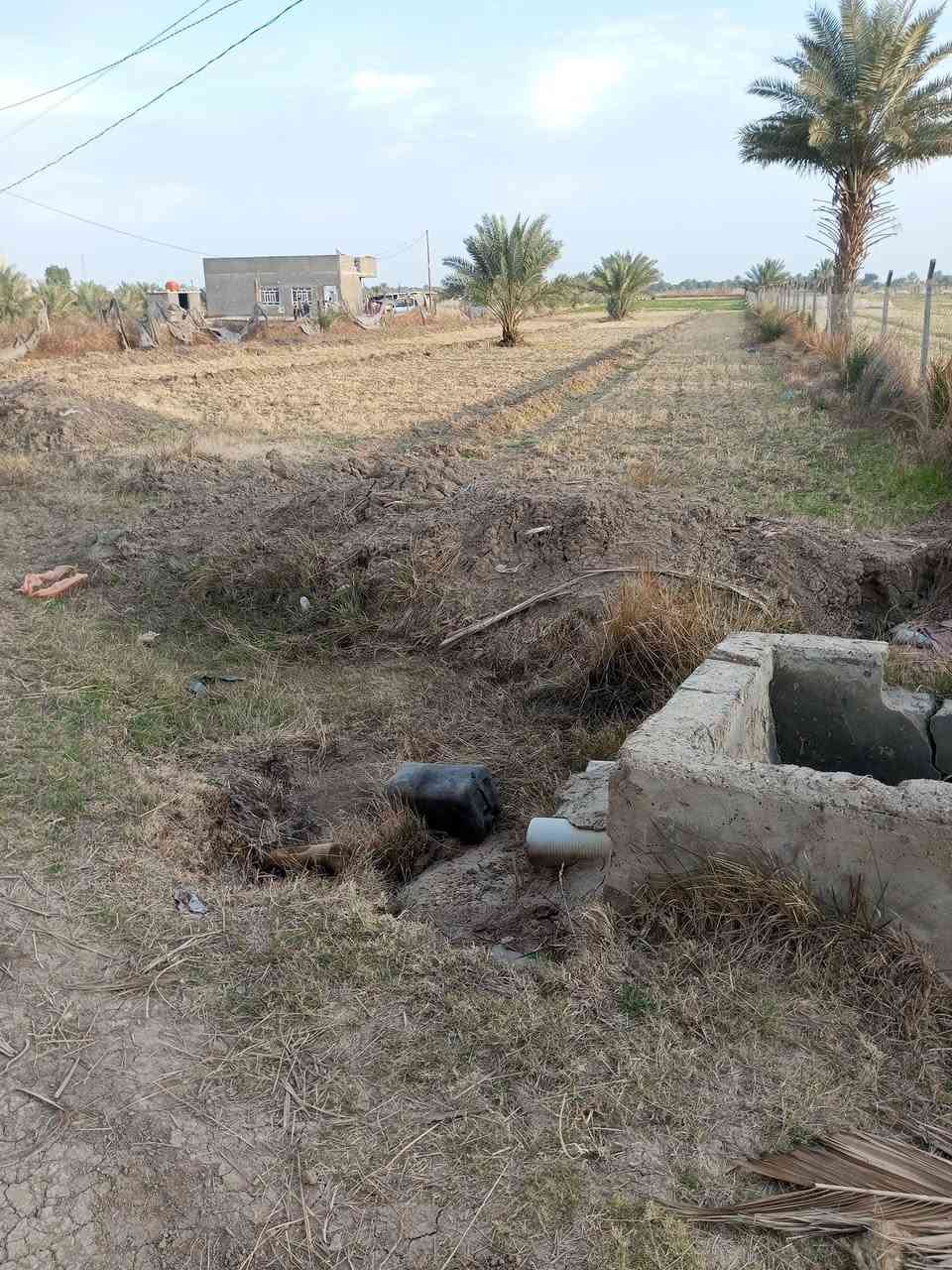 ارض زراعيه  المساحه  دونمين  و٦٠٠ متر  نزال ٢٨٠ عرض ٢١  بيهه ٣٥ نخله صغار وكبار   تحتوي مي  فوكاهه كهرباء فوكاهه   ملاحضه  الكاع مسيجه   وحلوه كلش    للاستفسار الاتصال على الرقم *********** تصل ودلل
