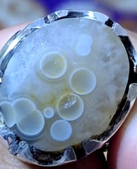 سليماني للبيع الرقم ٠٧٧٢٢٠٧٩٠٨٦ انت قيمه شكد يسوا واخذه المو شراي لا ي...