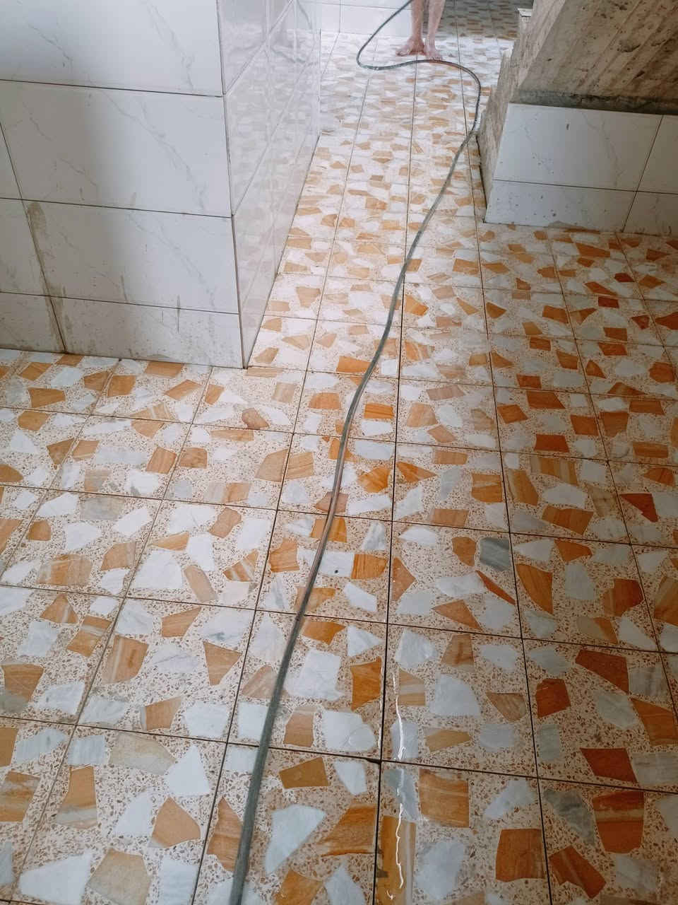 شغلي ارضي جدران متفرغ حاليا

***********
***********
