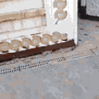 بيت • ٢٣٠م • شريفة بت الحسن