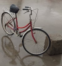 بسكليت • حي النصر