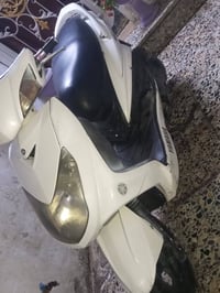 سكنس فحل • مكفولة • كهربيات شغاله