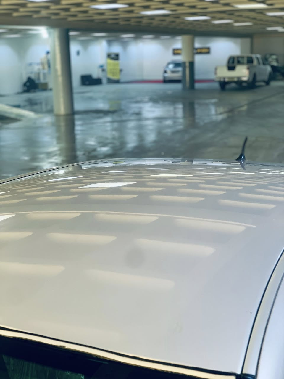 شاهینە براوە بۆدیل٢٠٠٧ساج مەلکی گەورە بەبچوک ***********
