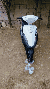 ماكس • بلادية ٤٩ • كهربيات كامله