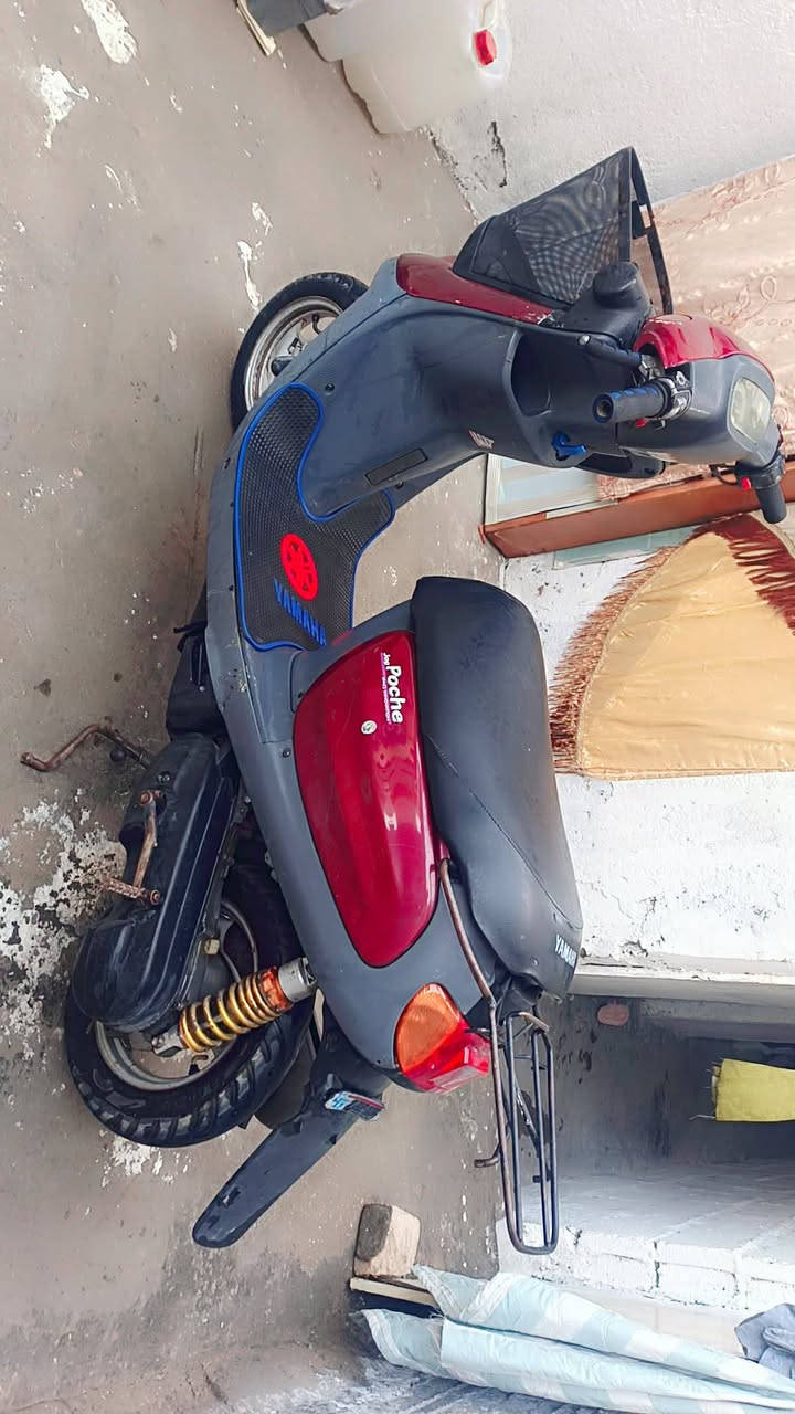 مكلفه بالنشر دراجه منغولي للبيع السعر 300 وبيها مجال للاستفسار الاتصال عله صاحب الدراجه،،،***********//**************
