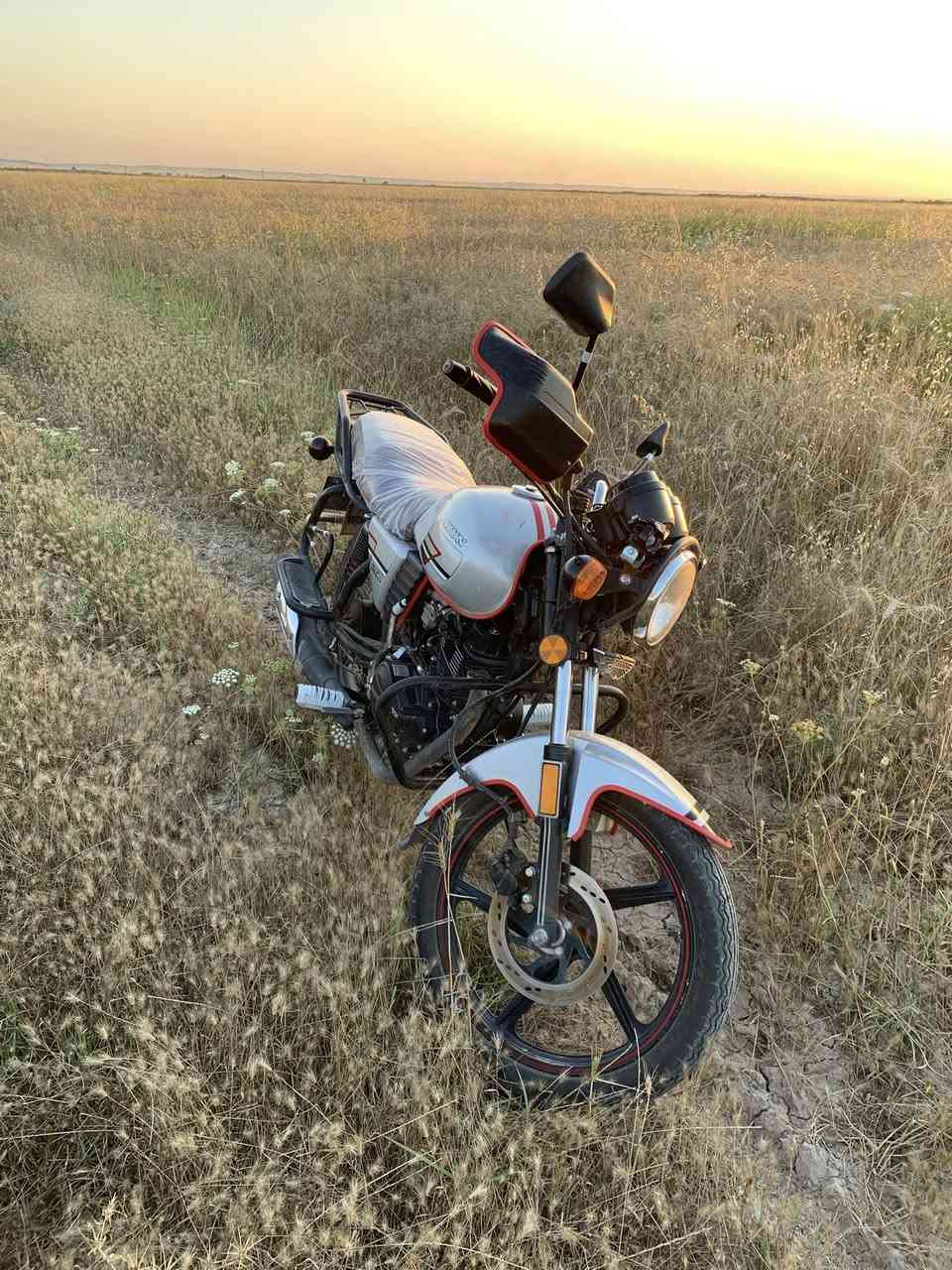 دايون موديل ٢٠٢٢
***********
