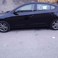 اسود • ٢٠١٧ • رقم اربيل