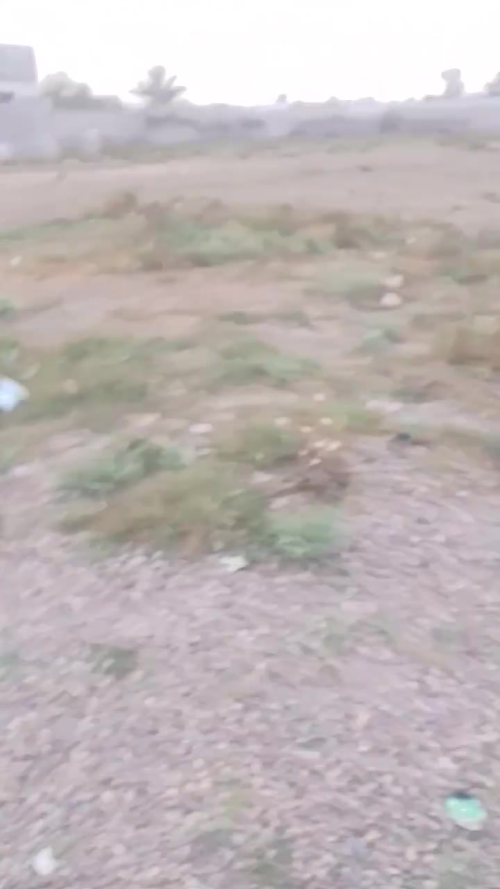 على بركه الله/قطعتين ارض للبيع كل قطعه الوجه 8متر النزال 16متر ركن على شارع الموقع حي الفارس الزراعي خلف النهر الإستفسار اتصل على الرقم ***********

