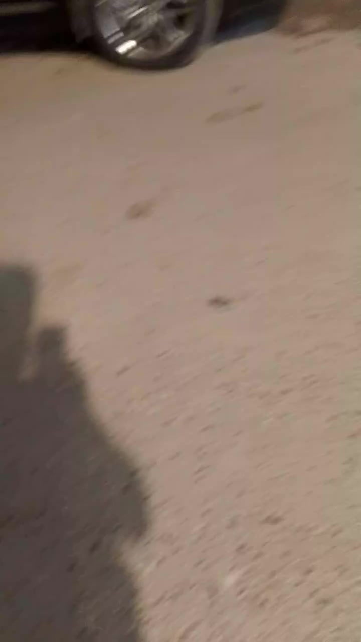 بيت للبيع حي دجله النسيم الذهبي 53متر زيرو الاستفسار أكثر الأتصال على الرقم 
***********
***********ع شارع 15قريب التجاري
