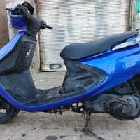 فراشة • فحل • دسك