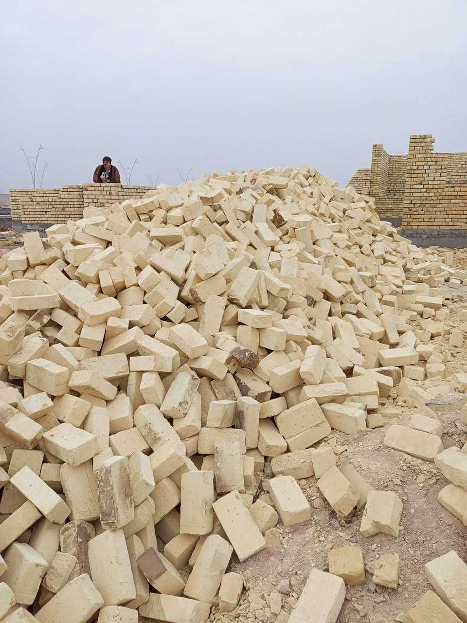 بسم لله الرحمن الرحيم    الى  الزبائن  الكرام  نقدم لكم  تجهيز طابوق الطيب  عدد السكس  8000الف طابوكه وزيادة 650  / وعدد التك 4000الف  وزيادة 300 الطابوق المتوفر 
انجكتر ✅ بيرنه ✅ درجه اولى ✅ ويوجد كسر درجه اولى 
لكافة انحاء البصره. والعماره   [] حسب الطلب ***********
للاستفسار  والاتصال مع واتساب [] او  مراسلة الصفحه ////         متواجدين 24 وعشرين ساعه[] لمكان ميسان []*********** [] انواع الطابوق وكلمن وسعره عمارة, ميسان
