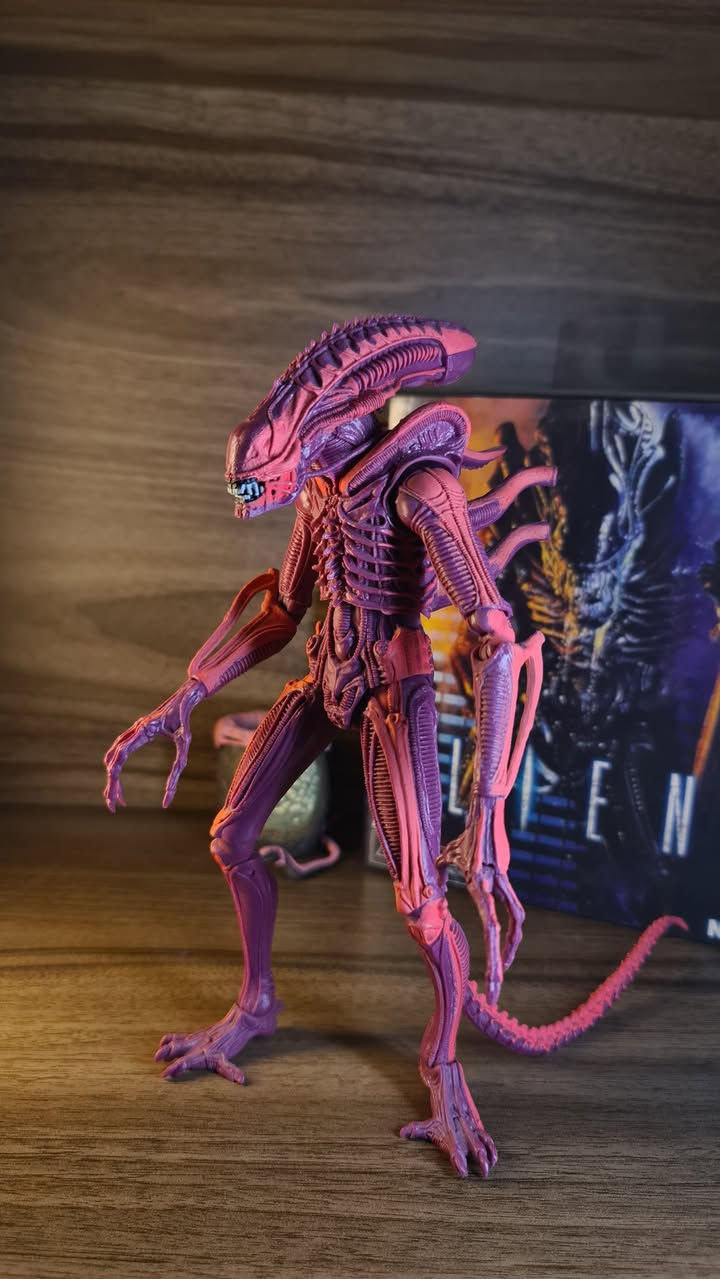 متوفر Neca Aliens action figures 🔥🔥🔥🔥
المجموعة الثانية
.
تزامنا مع صدور مسلسل Alien : earth 
نعرض لكم مجموعة مجسمات مفصلية من مختلف اصدارات السلسلة الشهيرة Alien
.
الاسعار للقطعة ٢٠ ألى ٣٥ الف حسب القطعة 
للطلب مراسلة الصفحة 
.
توصيل لجميع محافظات العراق 
تابعوا الصفحة للاطلاع على باقي المجسمات التي سيتم نشرها🔥


**إذا كنت صاحب هذا الإعلان وتريد حذفه لأي سبب، رجاءا أرسل رسالة إلى الدعم الفني**