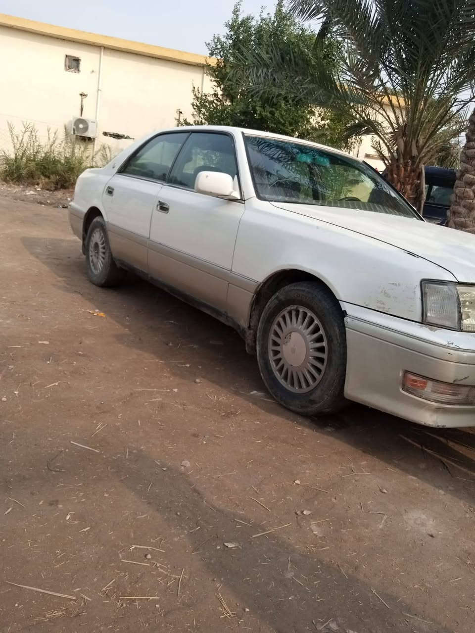 السلام عليكم راس الثور للبيع بسمي مداورة ثاني يوم مراوس بكوري ترهم ،
سعر 75 وبيها مجال***********
