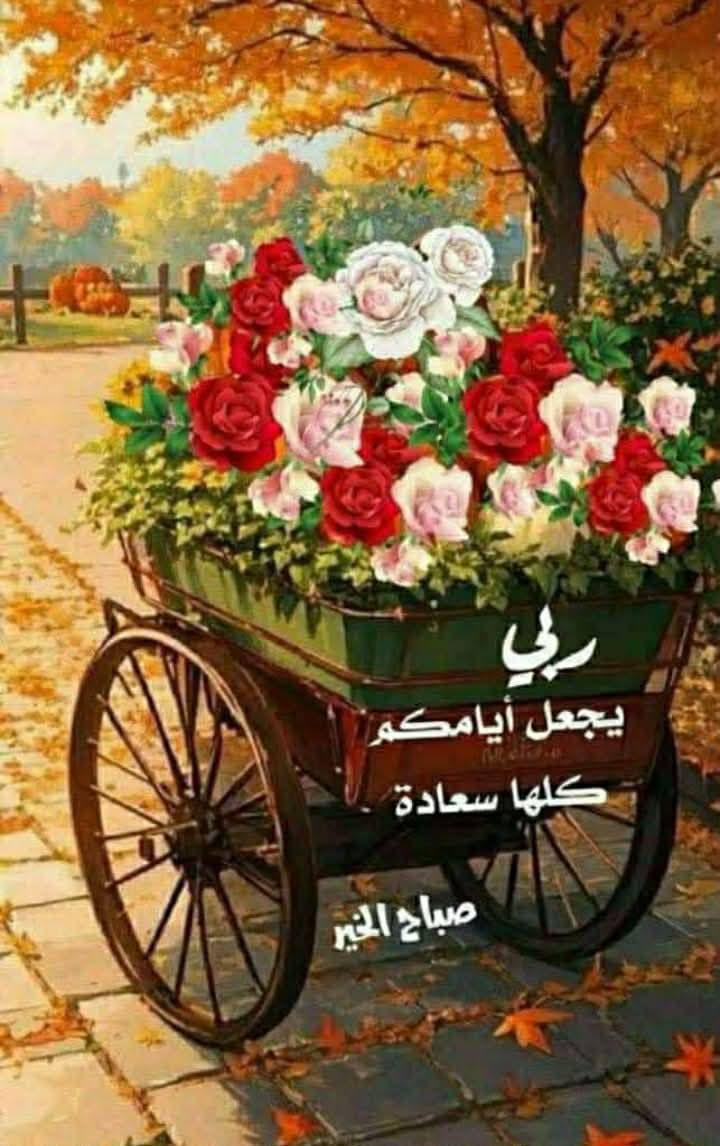 الب سوف اكسبلور بلور 94 شرط الانذار راعيها بكربلاء سعر 23 وبيها مجال+9647719595585


**إذا كنت صاحب هذا الإعلان وتريد حذفه لأي سبب، رجاءا أرسل رسالة إلى الدعم الفني**